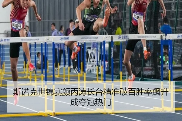 si-nuo-ke-shi-jin-sai-yan-bing-tao-zhang-tai-jing-zhun-po-bai-sheng-lv-biao-sheng-cheng-duo-guan-re-men-2-559.jpg